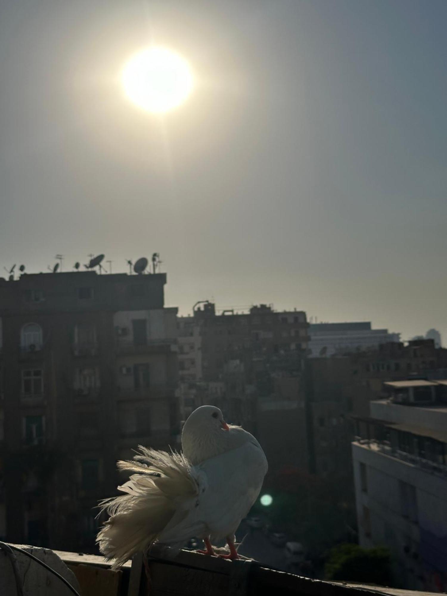 Cecilia Hostel Cairo